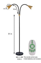Load image into Gallery viewer, SkyeyArc 2-Light LED Floor Lamp with Flexible Gooseneck for Reading, Craft &amp; Work, Dimmable and Color Adjustable with Remote Control, Standing Pole Light for Living Room, Office, 12W, Black and Golden
