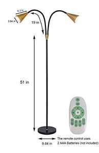 SkyeyArc 2-Light LED Floor Lamp with Flexible Gooseneck for Reading, Craft & Work, Dimmable and Color Adjustable with Remote Control, Standing Pole Light for Living Room, Office, 12W, Black and Golden