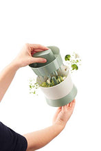 Load image into Gallery viewer, Lekue Veggie Cauliflower Ricer, 7 oz, Green
