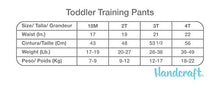 Load image into Gallery viewer, Potty Training Pant Multipacks
