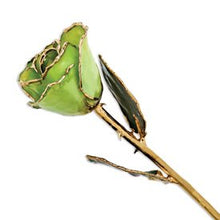 Load image into Gallery viewer, Allmygold Jewelers Peridot Long Stem Dipped 24K Gold Trim Genuine Rose in Gift Box
