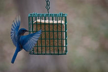 Load image into Gallery viewer, C&amp;S Wild Bird High Energy Suet Treat 56 Ounces, 6 Pack
