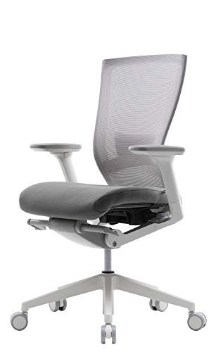 SIDIZ T50 Highly Adjustable Ergonomic Office Chair (TNB500LDA): Advanced Mechanism for Customization/Extreme Comfort, Ventilated Mesh Back, Lumbar Support, 3D Arms, Seat Slide/Slope (Gray)