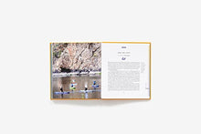 Load image into Gallery viewer, Fifty Places to Practice Yoga Before You Die: Yoga Experts Share the World’s Greatest Destinations
