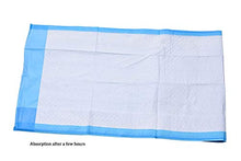 Load image into Gallery viewer, A WORLD OF DEALS INC2336R Disposable Blue Underpad 23 X 36, 150/Case
