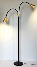 Load image into Gallery viewer, SkyeyArc 2-Light LED Floor Lamp with Flexible Gooseneck for Reading, Craft &amp; Work, Dimmable and Color Adjustable with Remote Control, Standing Pole Light for Living Room, Office, 12W, Black and Golden
