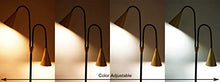 Load image into Gallery viewer, SkyeyArc 2-Light LED Floor Lamp with Flexible Gooseneck for Reading, Craft &amp; Work, Dimmable and Color Adjustable with Remote Control, Standing Pole Light for Living Room, Office, 12W, Black and Golden

