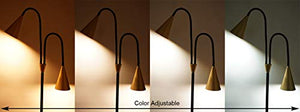 SkyeyArc 2-Light LED Floor Lamp with Flexible Gooseneck for Reading, Craft & Work, Dimmable and Color Adjustable with Remote Control, Standing Pole Light for Living Room, Office, 12W, Black and Golden