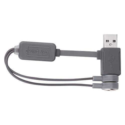 ErYao Magnetic USB Li-ion Battery Charger with Charging/Discharging Power Bank Function Max Current 1000mA, Charger Discharger Standard Discharger for Lithium Battery (Gray)