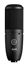 Load image into Gallery viewer, AKG P120 High-Performance General Purpose Recording Microphone
