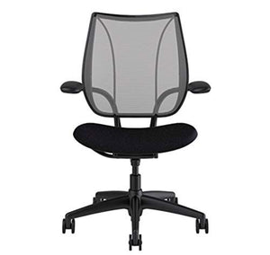 Humanscale Liberty Office Desk Task Chair - L116BN02V102-B Pinstripe Silver Backrest - Vellum Graphite Seat (Renewed)