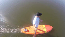 Load image into Gallery viewer, Michael Dolsey Designs E-FiN - SUP Motorizing Kit - Paddleboard Electric Power Conversion kit for Hard SUPs
