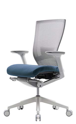 SIDIZ T50 Highly Adjustable Ergonomic Office Chair (TNB500LDA): Advanced Mechanism for Customization/Extreme Comfort, Ventilated Mesh Back, Lumbar Support, 3D Arms, Seat Slide/Slope (Blue)