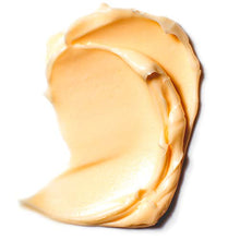 Load image into Gallery viewer, L'Oreal Paris Skincare Age Perfect Hydra-Nutrition Anti-Aging Day Cream with Manuka Honey Extract, 1.7 Ounce
