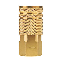 Load image into Gallery viewer, SUNGATOR 1/4-Inch Brass Female Industrial Coupler, 10-Pack NPT Female Quick Connector Air Coupler with Storage Case
