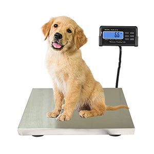 SurmountWay 440lbs Digital Livestock Scale Large Pet Vet Scale Stainless Steel Platform Electronic Postal Shipping Scale Industrial Floor Scale Heavy Duty Dog Scale
