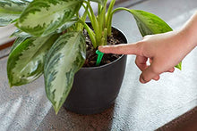 Load image into Gallery viewer, Miracle-Gro Indoor Plant Food Spikes, Includes 24 Spikes - Continuous Feeding for all Flowering and Foliage Houseplants - NPK 6-12-6
