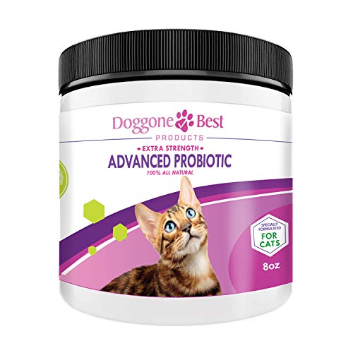 Doggone Best Products Cat Probiotics