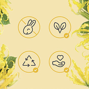 Love Beauty And Planet Hope and Repair Shampoo and Conditioner Dry Hair and Damaged Hair Care Coconut Oil and Ylang Ylang Paraben Free, Silicone Free, and Vegan 13.5 oz, 2 count