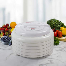 Load image into Gallery viewer, NESCO FD-1040 Gardenmaster Digital Pro Dehydrator for Great Jerky and Snacks, 4 Trays
