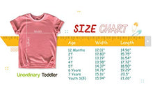 Load image into Gallery viewer, Big Sister Little Sister Matching Outfits Shirt Gifts Girls Newborn Baby Set (Mauve, Kid (6Y) / Baby (NB))
