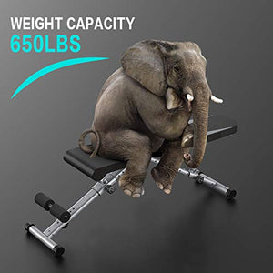 BTFING Weight Bench, Adjustable Strength Training Bench for Full Body Workout with Fast Folding