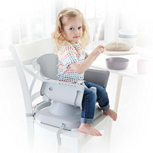 Load image into Gallery viewer, Fisher-Price SpaceSaver High Chair, Rosy Windmill
