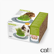 Load image into Gallery viewer, Catit Senses 2.0 Cat Grass Planter, Interactive Cat Toys
