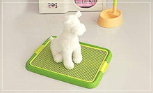 Load image into Gallery viewer, ANYPET Dog Puppy Cat Pet Potty Anypet Indoor Training Toilet, Green
