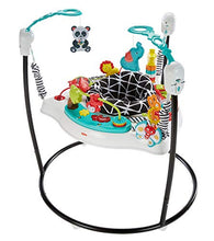 Load image into Gallery viewer, Fisher-Price Animal Wonders Jumperoo, White

