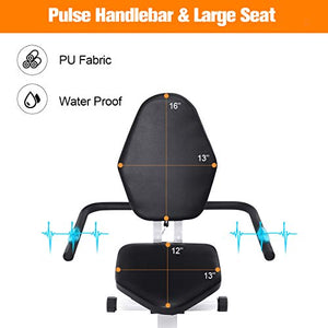 Recumbent Exercise Bike Stationary, Doufit EB-02 Indoor Magnetic Exercise Bicycle for Home Workout with 8 Resistance Levels and Adjustable Seat