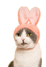 Load image into Gallery viewer, Kitan Club Cat Cap - Pet Hat Blind Box Includes 1 of 5 Cute Styles - Soft, Comfortable - Authentic Japanese Kawaii Design - Animal-Safe Materials, Premium Quality (Rabbit)
