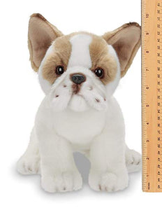 Bearington Collection Frenchie Plush Stuffed Animal French Bulldog Puppy Dog, 13 inch