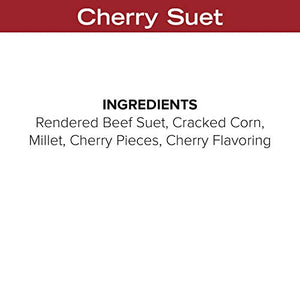 Blue Seal Cherry Bird Suet Cake | No Mess Wild Bird Suet | 11 oz (12 Pack)