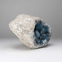 Load image into Gallery viewer, Astro Gallery of Gems Blue Celestite Cluster Geode from Sankoany, Ketsepy Mahajanga, Madagascar (18.5 lbs) - BC56

