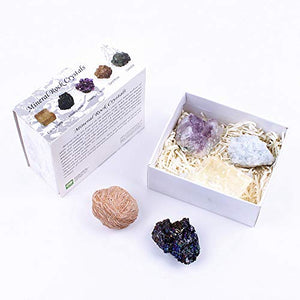 CXD-GEM Mineral Rock Crystals Gift Box Gemstone Healing Energy Stone Collection - Irregular Shape Stone Specimen(Set B)