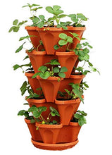 Load image into Gallery viewer, Mr. Stacky 5-Tier Strawberry Planter Pot, 5 Pots
