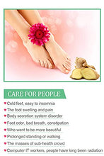 Load image into Gallery viewer, Foot Pads | Ginger Foot Pads for Your Good Feet | Foot and Body Care | Apply, Sleep &amp; Feel Better | All Natural &amp; Premium Ingredients for Best Combination &amp; Results | 20 PCS

