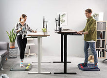 Load image into Gallery viewer, Electric Stand up Desk Frame - FEZIBO Dual Motor and Cable Management Rack Height Adjustable Sit Stand Standing Desk Base Workstation (Frame Only)
