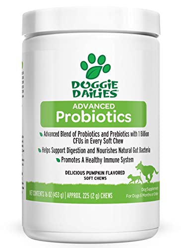 Doggie Dailies Probiotics for Dogs, 225 Soft Chews, Advanced Dog Probiotics with Prebiotics, Promotes Digestive Health, Supports Immune System and Overall Health (Pumpkin)