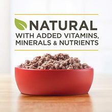 Load image into Gallery viewer, Purina ONE Grain Free, Natural Pate Wet Dog Food, SmartBlend True Instinct With Real Turkey &amp; Venison - (12) 13 oz. Cans
