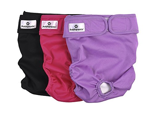 Pet Parents Washable Dog Diapers (3pack) of Doggie Diapers, Color: Princess, XSmall Dog Diapers
