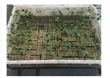 Load image into Gallery viewer, 1.5 inch Rockwool/Stonewool Grow Cubes Starter Sheets for Cuttings, Cloning, Plant Propagation, Seed Starting Hydroponic Grow Media Growing Medium for Vigorous Plant Growth (28, 1.5)

