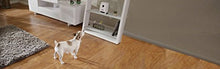 Load image into Gallery viewer, Petzi Treat Cam: Wi-Fi Pet Camera &amp; Treat Dispenser, Enabled with Amazon Dash Replenishment
