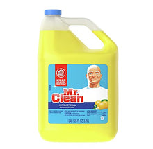 Load image into Gallery viewer, M.C. Mr Clean Multi-Purpose Summer Citrus Liquid Cleaner Professional Household Non-Toxic Hardwood Floor Cleaner 128 Fluid Ounce Bottle With Number 1 In Service Wallet Tissue Pack
