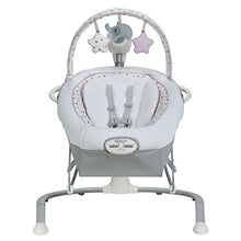 Load image into Gallery viewer, Graco Duet Sway LX Swing with Portable Bouncer, Camila
