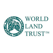 Load image into Gallery viewer, Cherry Carbonless Cash Receipt Book, 2-Part, with Loose-Leaf Writing Shield, 3.9 x 8.3 Inches, 50 Sets
