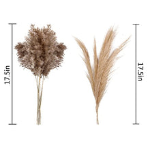Load image into Gallery viewer, Dried Pampas Grass Decor - 40 Pcs Natural Pompas Floral/ Dried Pompous Grass Boho Plant for Flower Arrangements Wedding Home Decor(30 Pcs Brown Pampas Grass &amp; 10 Pcs Beige Pampas Grass)

