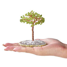 Load image into Gallery viewer, KALIFANO Natural Mini Peridot (100+ Gemstone Count!) Chakra Crystal Tree with Brazilian Agate Base - Bonsai Feng Shui Money Tree for Stress Relief and Inner Growth
