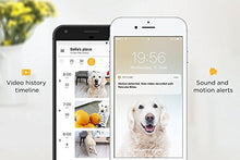 Load image into Gallery viewer, Petcube [2017 Item] Play Smart Pet Camera with Interactive Laser Toy. Remote Dog/Cat Monitoring with HD 1080p Video, Two-Way Audio, Night Vision, Sound/Motion Alerts. App-Enabled Pet and Home Safety
